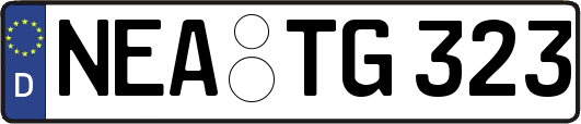NEA-TG323