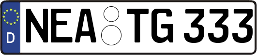 NEA-TG333