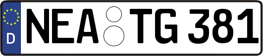 NEA-TG381
