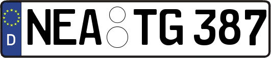 NEA-TG387