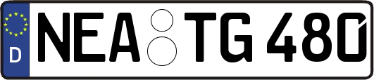 NEA-TG480