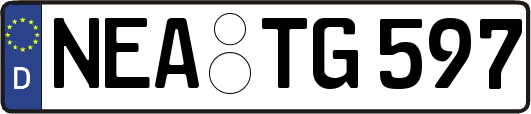 NEA-TG597