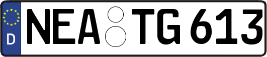NEA-TG613