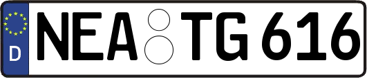 NEA-TG616
