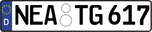 NEA-TG617