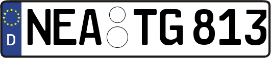 NEA-TG813