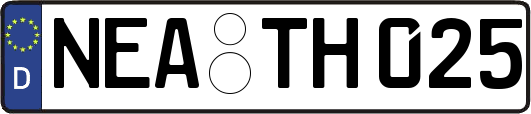 NEA-TH025
