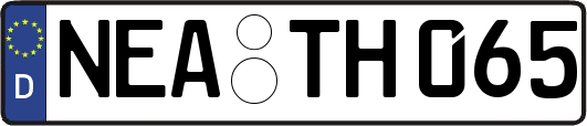 NEA-TH065