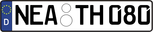 NEA-TH080