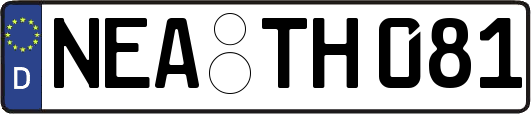 NEA-TH081