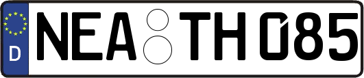 NEA-TH085