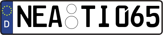 NEA-TI065