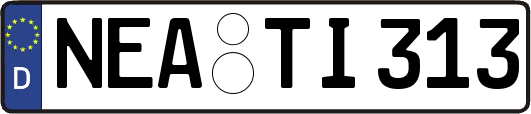 NEA-TI313