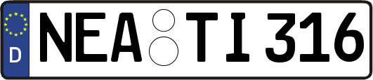 NEA-TI316