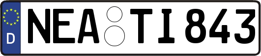 NEA-TI843