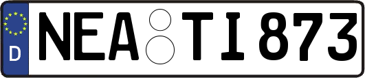 NEA-TI873