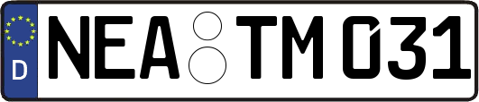 NEA-TM031