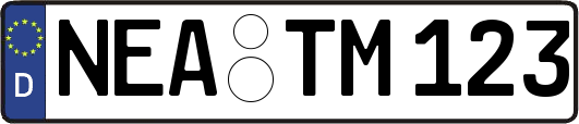NEA-TM123