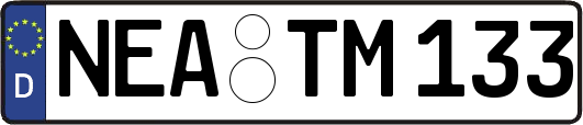 NEA-TM133