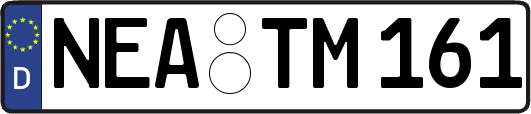 NEA-TM161