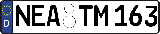 NEA-TM163