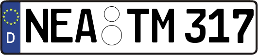 NEA-TM317