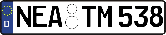 NEA-TM538