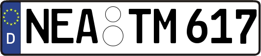 NEA-TM617