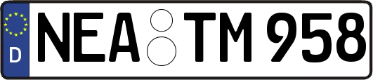 NEA-TM958
