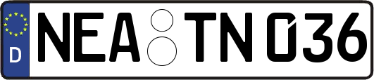 NEA-TN036