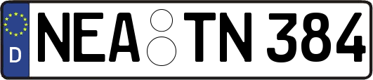 NEA-TN384