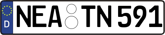 NEA-TN591