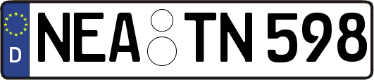 NEA-TN598