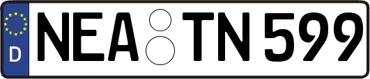 NEA-TN599