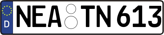 NEA-TN613