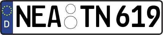 NEA-TN619