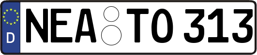 NEA-TO313