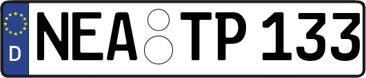 NEA-TP133
