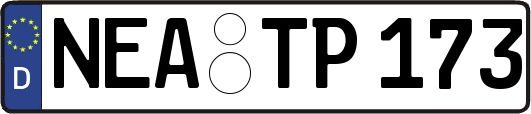 NEA-TP173