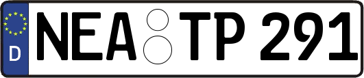 NEA-TP291