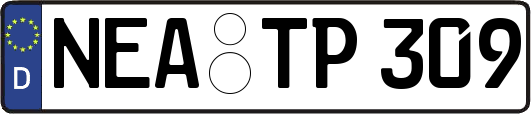 NEA-TP309