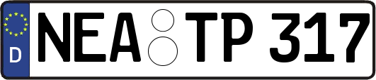 NEA-TP317