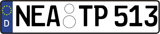NEA-TP513