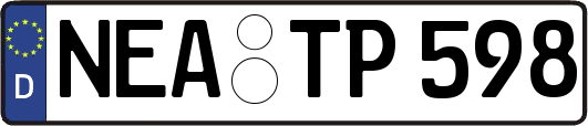 NEA-TP598