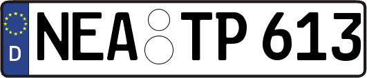 NEA-TP613