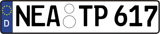 NEA-TP617