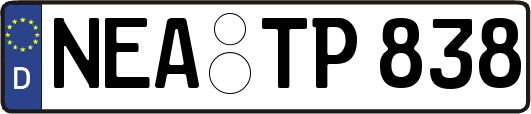 NEA-TP838