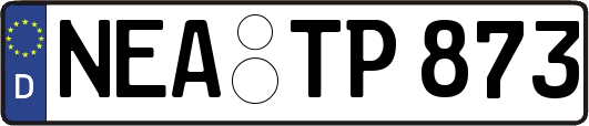 NEA-TP873