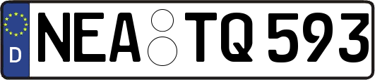 NEA-TQ593