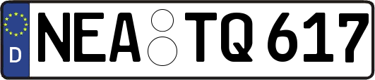 NEA-TQ617